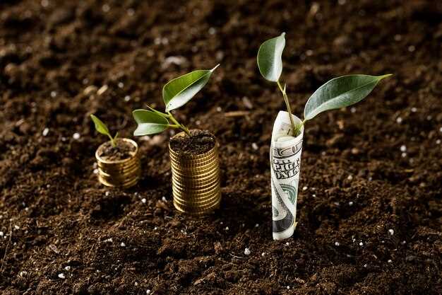 Как посадить денежное дерево