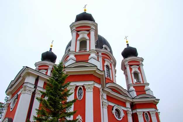 Римско-католический кафедральный собор на Малой Грузинской в Москве
