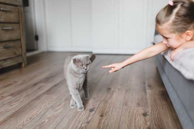 Полезные советы для родителей