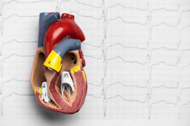 Сердечные клапаны: описание, строение, функции и дефекты